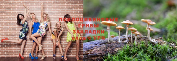 СК Алексеевка